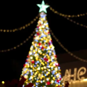 Charleston Kicks Off Holiday Season with Magical Tree Lighting Ceremony