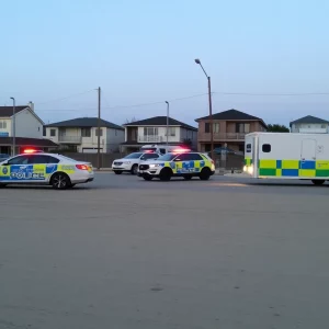 Folly Beach police cars responding to a theft incident